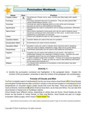 cover image of Grade 7 English: Punctuation Workbook - Application